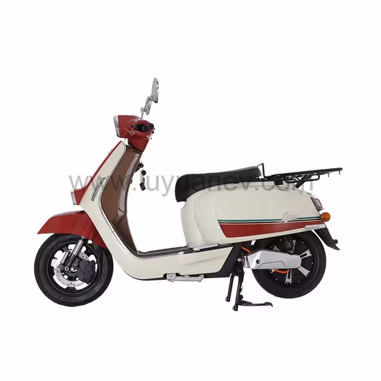 Mqn5 High Speed EEC Electric Motorcycle