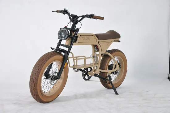 ODM 48V 500W 750W 1000W Bafang Super Power Adult Beach Cruiser Fat Tire Electric Bicycle E Bike