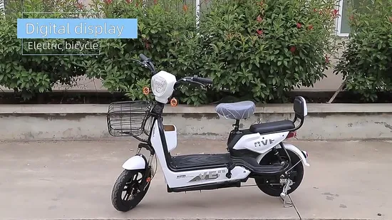 48V12A/20A 350W/500W Nuovo Modello per Uomo Donna Elettrico Fat Tire Bike Bicicletta Elettrica