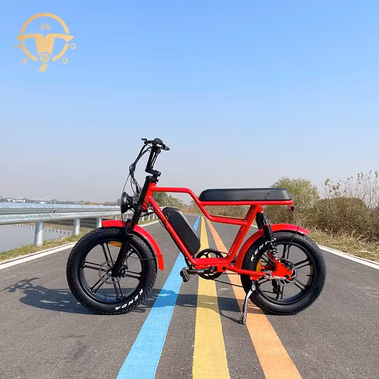 Bicicletta elettrica MTB Fat Tire 26*4.0 350W*2 con motori a doppio mozzo