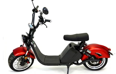 Scooter elettrico con batteria al litio rimovibile da moto CEE