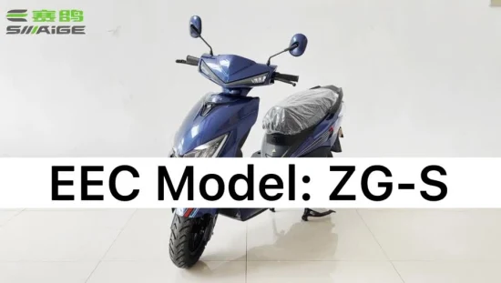 Batteria al piombo o al litio Saige certificata CEE 72V20ah, motocicletta elettrica omologata per strada da 2000 W