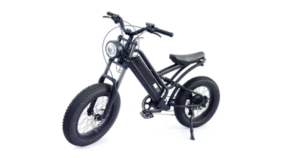 Bicicletta elettrica E-bike Ebike con telaio in alluminio per montagna e pendolari da uomo con pneumatici grassi 20 * 4.0